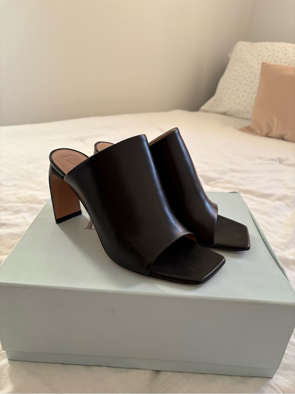 LANVIN | Black Open-Toe Block Heel Mules